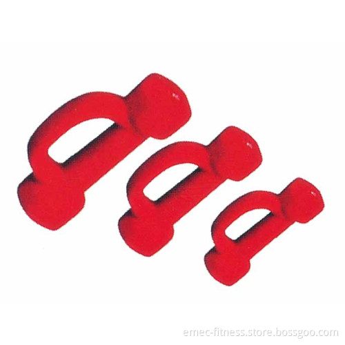 Dumbbell with Handle